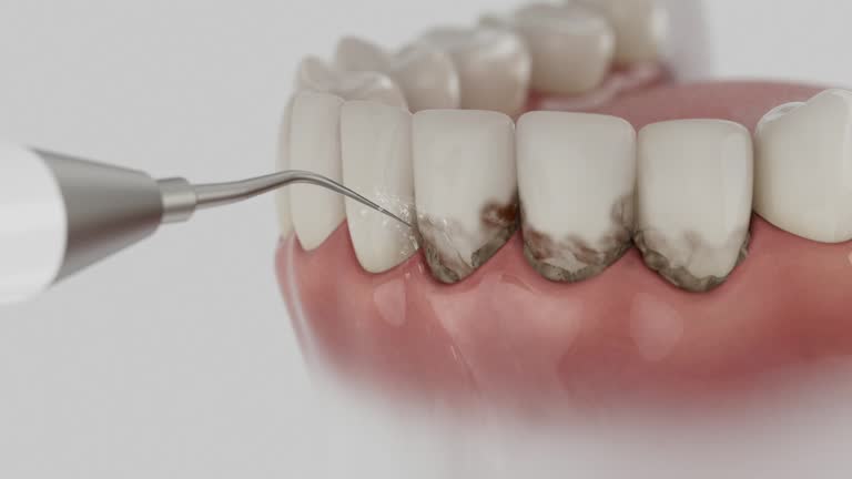 Reliable Dental contractor in Petersburg, MI by Dentist Open Now